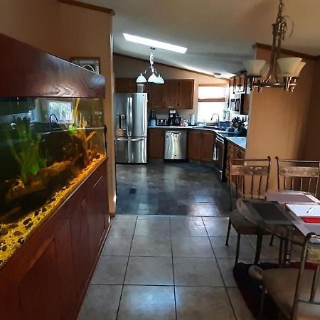 Private Pet Friendly Home Near Exotic Deer Farm Close To Pigeon Forge, Gatlinburg Tn Sevierville Eksteriør bilde