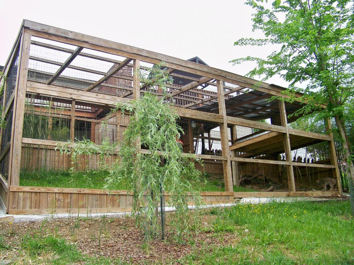 Private Pet Friendly Home Near Exotic Deer Farm Close To Pigeon Forge, Gatlinburg Tn Sevierville Eksteriør bilde